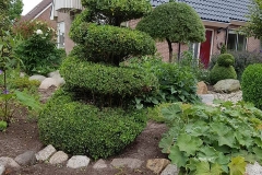 19149370_849262018565591_4748167224524407496_n